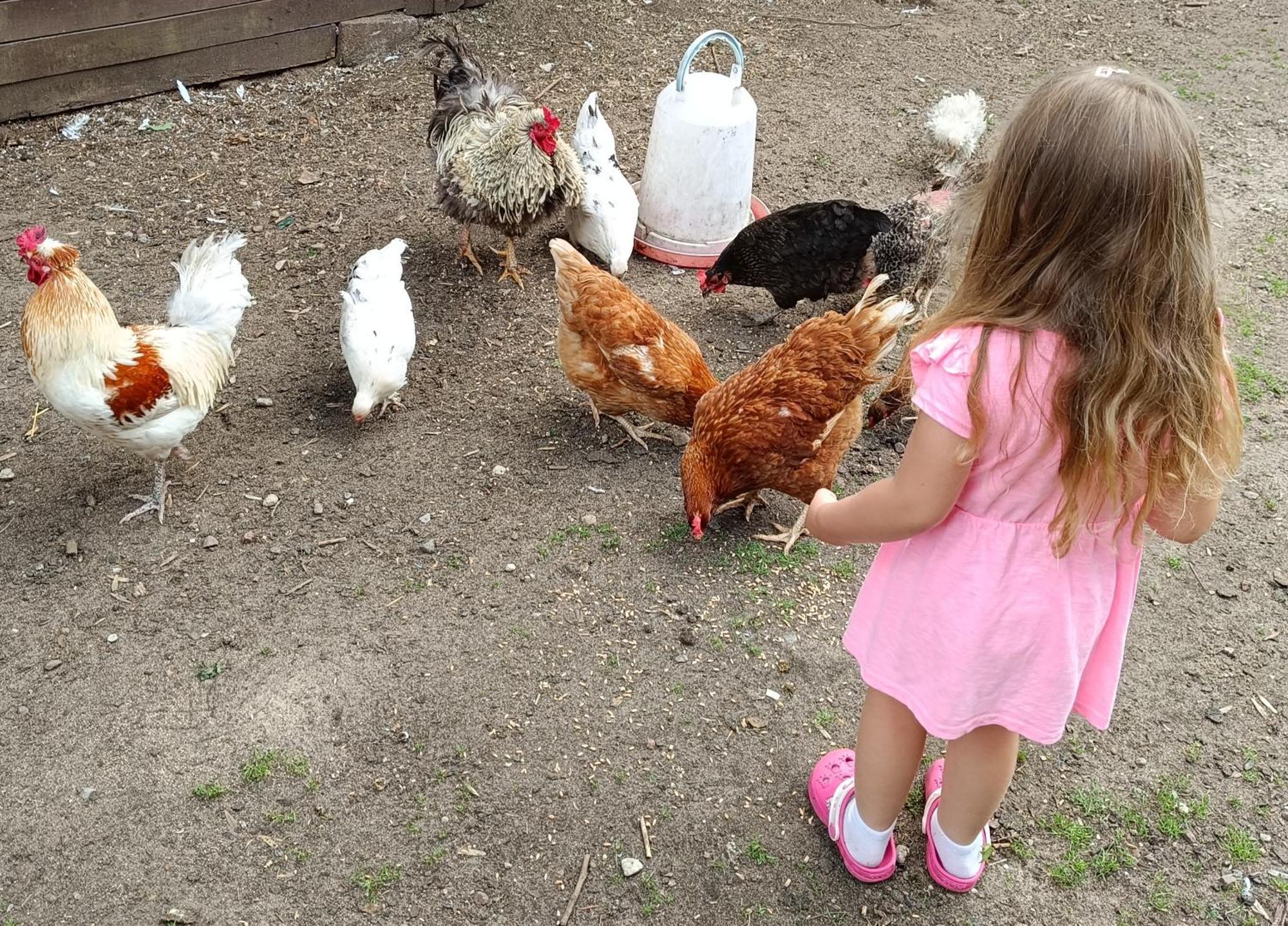 Na Mazurach Farm stay *